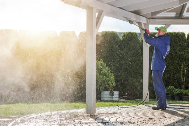 Pre-Holiday Cleaning in Fox River Grove, IL