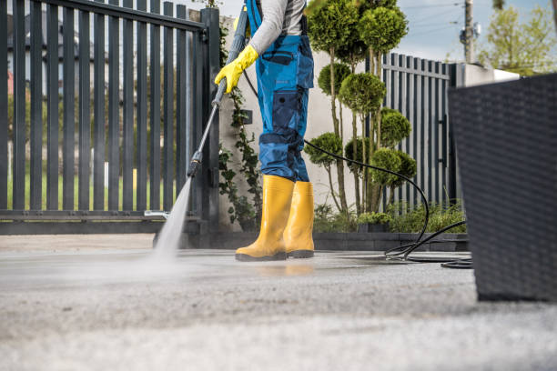 Best Driveway Pressure Washing  in Fox River Grove, IL